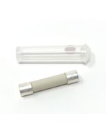 Acme Audio Labs Silver Cryo Fuse